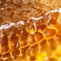 Pure Honey