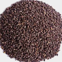 Talmakhana
